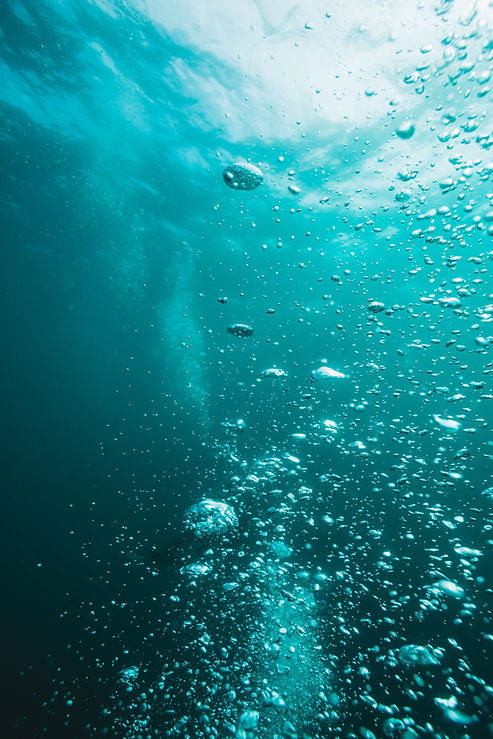 Image by Angus Gray