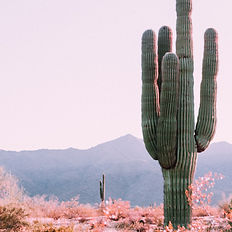 Arizona USA