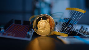 Doge takes the spotlight as the crypto community goes wild