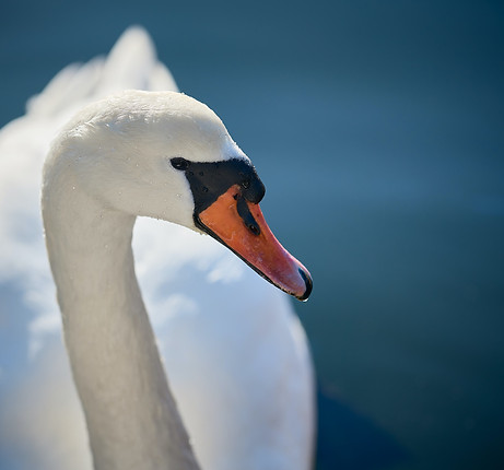 Image by Vidar Nordli-Mathisen