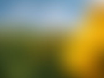 大暑の体、不調のサインは自然からの声