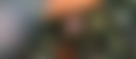 Fertility ( A woman in you, me & them)