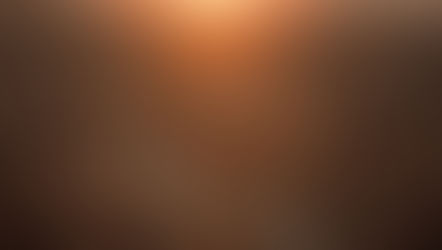 Survival Guide - Wenn die Katastrophe kommt...