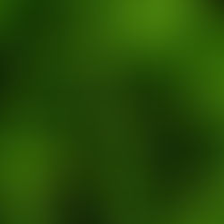 What the SEC Names Rule Means for ESG Funds and Greenwashing