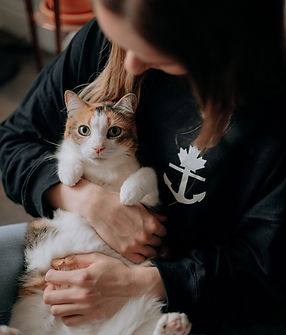 Image by Keith Tanner