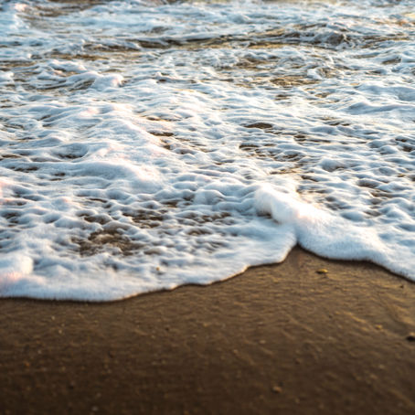 Shadow Maribrengaël -何よりもあらゆることを自分のために-