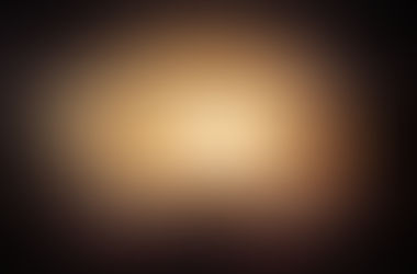 2. 「叡智と意識」Wisdom and Consciousness