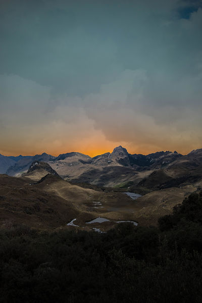 Image by Ruud Luijten