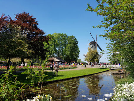 Windmill and garden with flowers