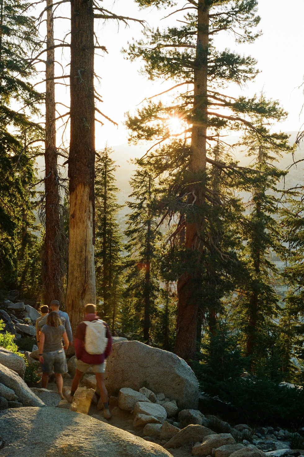 Image by Spencer Plouzek