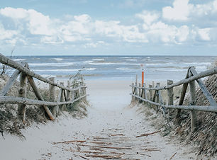 Image by Piotr Majcher