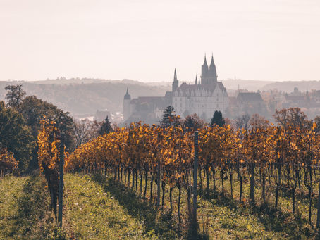 Entdecke Die Versteckten Schätze: Geheime Orte für Extravagante Hochzeiten mit dem Hochzeitsfotografen im Jerichower Land