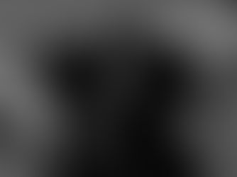 Whoring After Other Gods