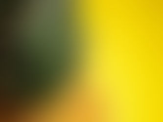 L’ananas : un fruit tropical aux multiples vertus