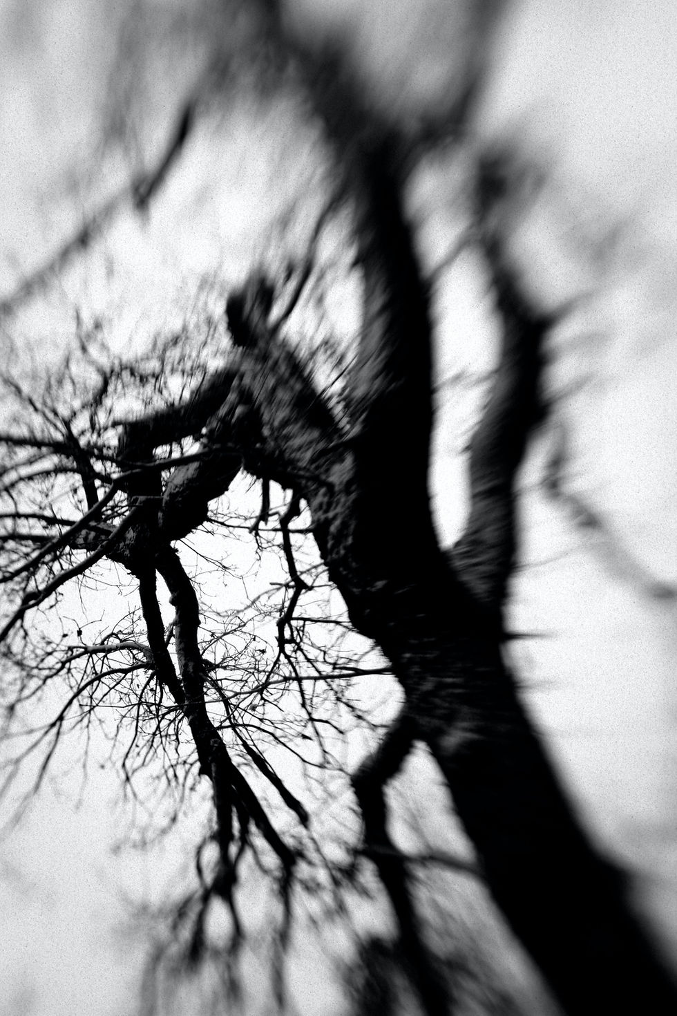 black and white tree symbolising not feeling good enough