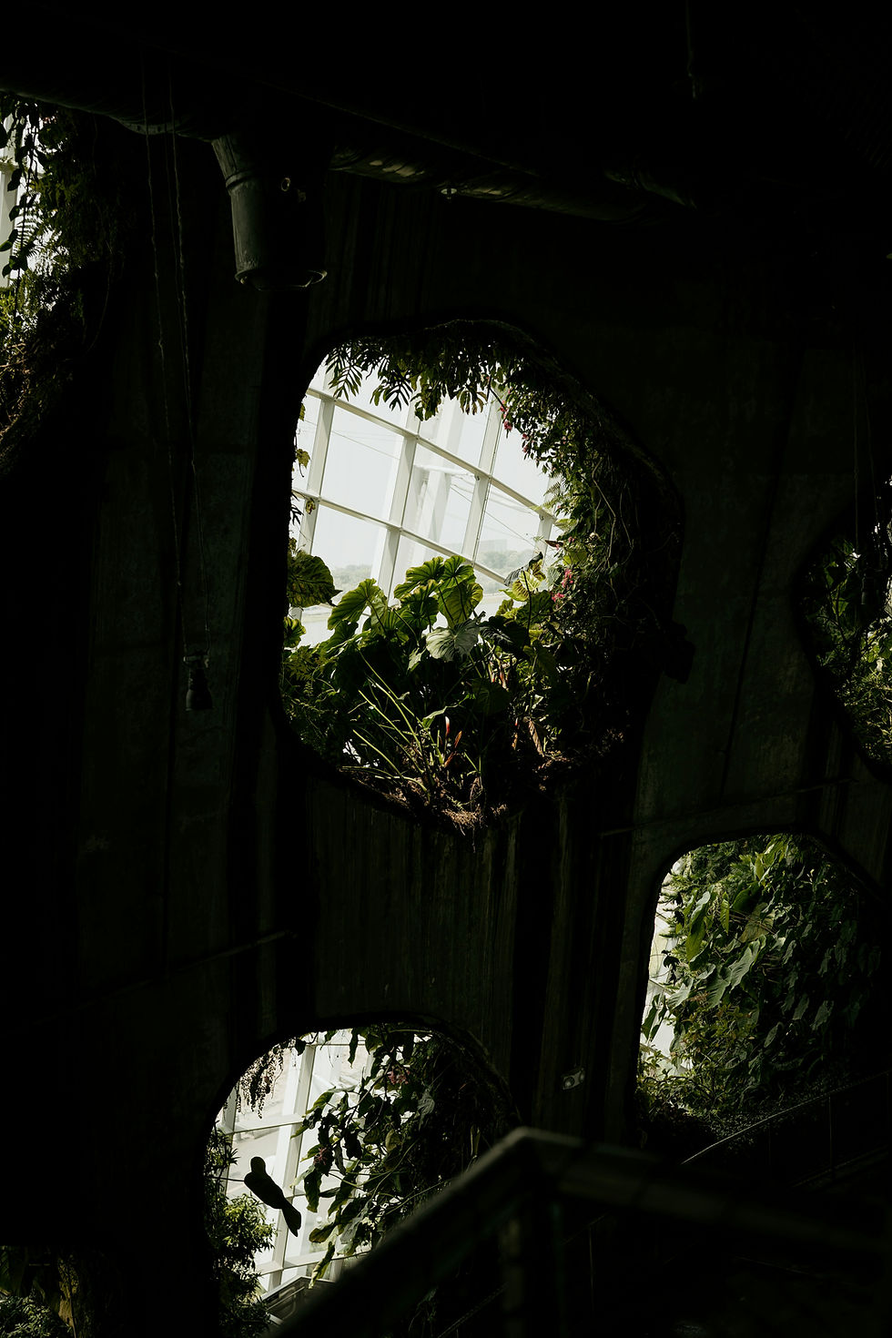 Image by Agnieszka Stankiewicz