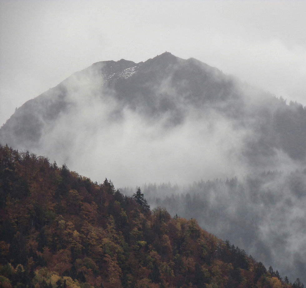 Mist-shrouded mountains transition through autumn colors, evoking a mood of seasonal melancholy.