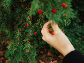 Parish Newsletter 7th December 2025