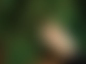 Parish Newsletter 7th December 2025