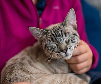 Image by Jeremy Mowery