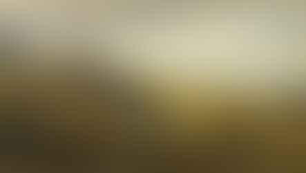A painting of many sheep on a hilly, grassy pasture with clouds in the background.