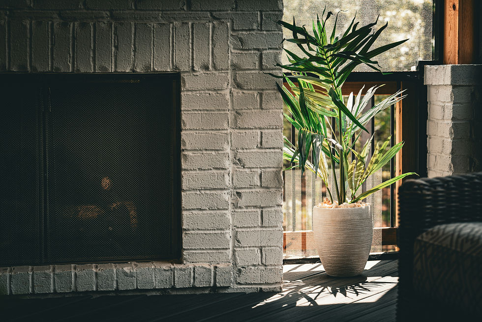 Grey brick fireplace and green palm plant