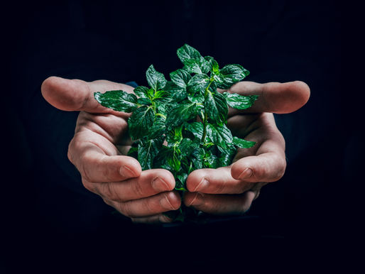 Natural Ways to Manage Stress