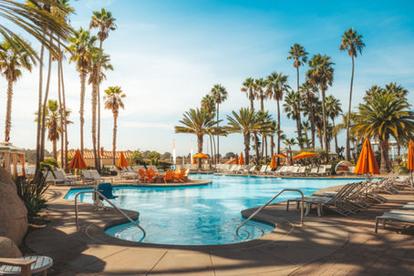 Resort pool with palm trees