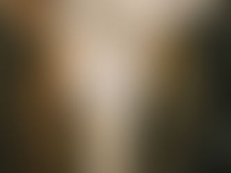 VIP NYC Transfers - Executive Transportation NYC, Perfected