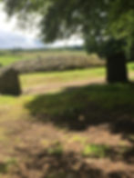 Clava cairns inverness scotland