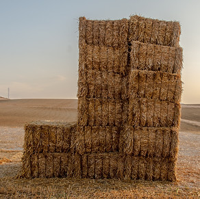 Image by Maksym Diachenko