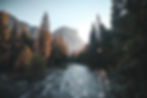 An image of a forest and river illustrating EACLIPTs efforts to provide its members with cutting-edge research and insights on clinical psychology, psychotherapy and psychologcial treatments with webinars, conference recordings and other educational material.