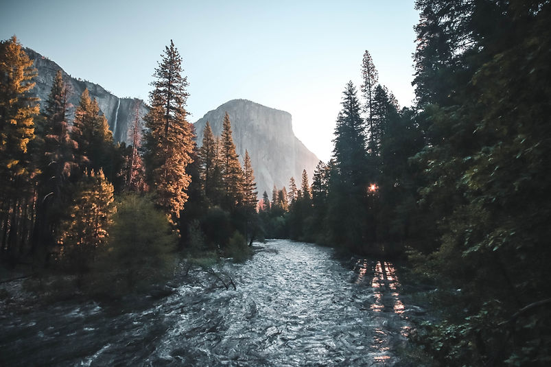 Image by Jeremy Bishop