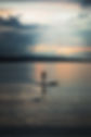 Image by Julia Verea