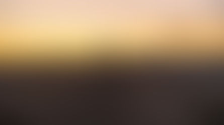 私と恩師のリナーヌ・バンダ(カルマの宿縁)をD150で読む