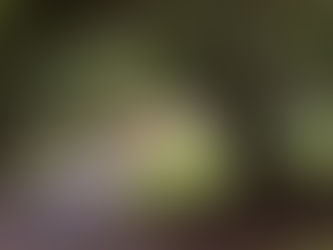 Oil & Antifreeze: Why These Fluids Matter for Equipment Performance and Protection