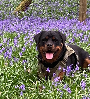 Image de Deborah Goodsell