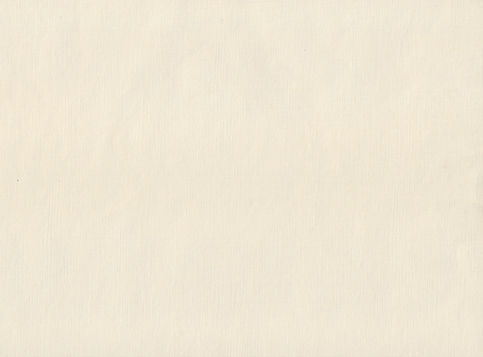 Image by Olga Thelavart