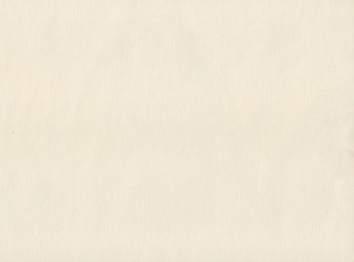 Image by Olga Thelavart