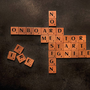 Text that talks about onboard mentoring and more. - laynemcdonald.com