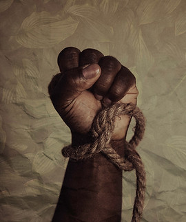 Image de Tasha Jolley