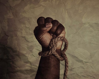 Image de Tasha Jolley