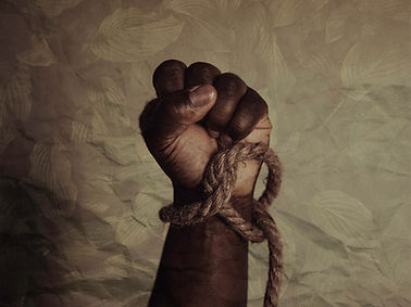 Image by Tasha Jolley