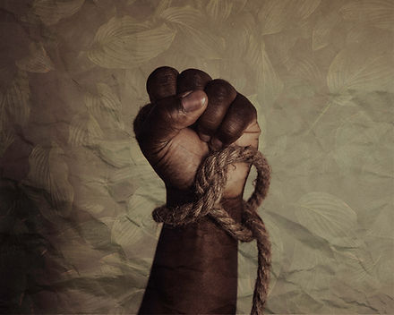 Image by Tasha Jolley