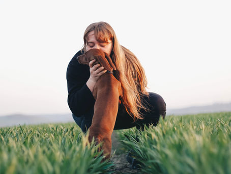 dişi köpek isimleri