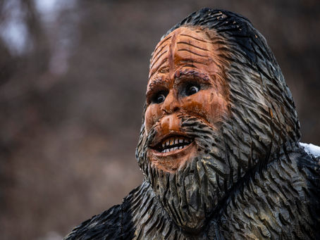 Savannenhirn im Internetzeitalter: Ein Problembericht