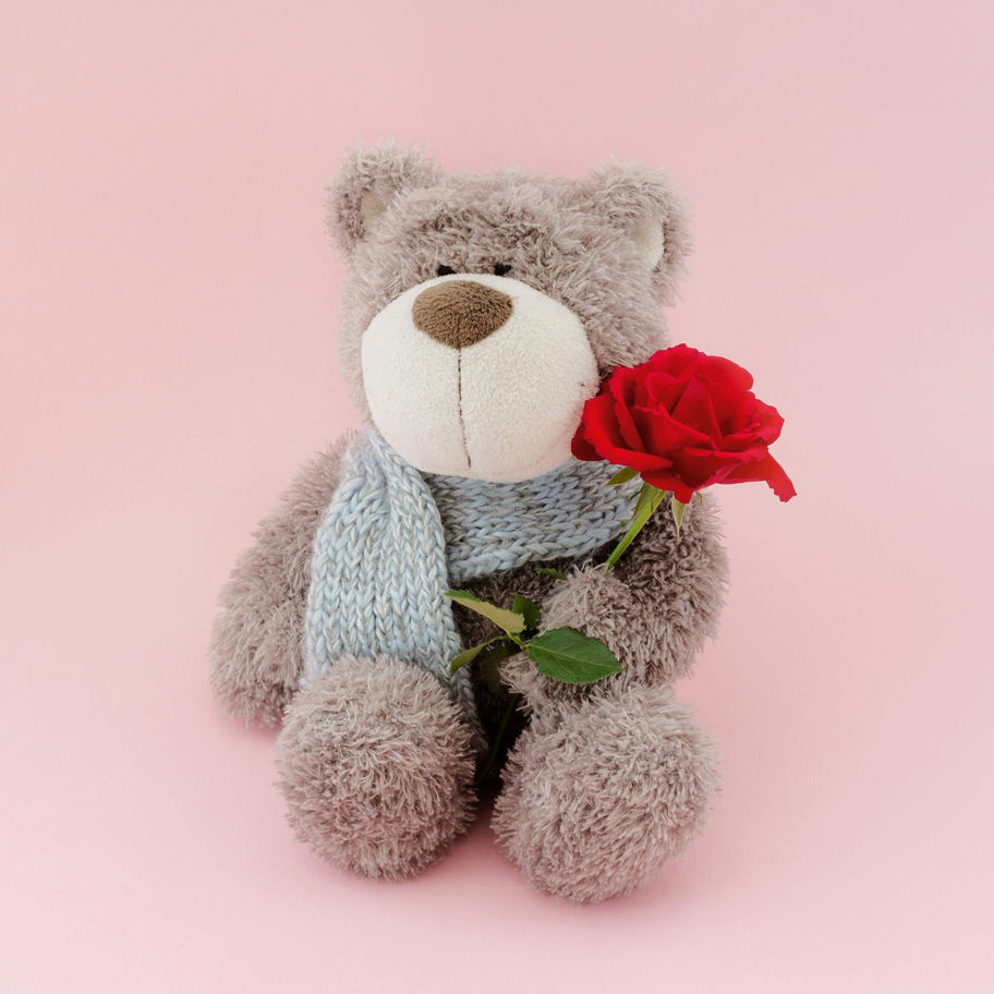 teddy