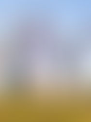 Учимся говорить "нет"