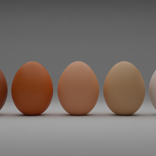 protein rich foods for women