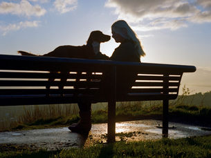 dog an owner sitting on a bench looking at a sunset